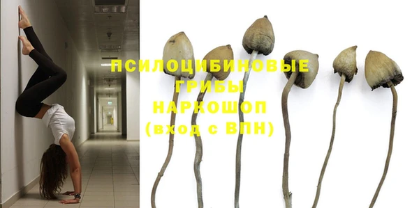 прущая мука Алексин