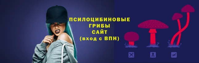 амф Алексеевка