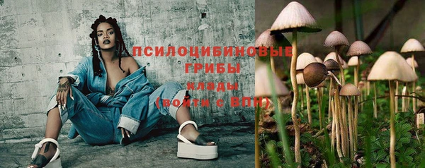 амф Алексеевка