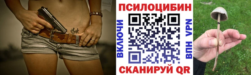 ОМГ ОМГ ссылки  Сураж  Галлюциногенные грибы GOLDEN TEACHER 